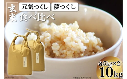 食品/飲料/酒和歌山県産 玄米 10kg➕10kg (20kg)