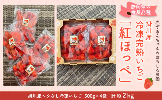 ５７６５　掛川産・自慢の冷凍完熟　紅ほっぺ　約2kg（掛川産ヘタなし冷凍いちご約500g×4袋）赤ずきんちゃんのおもしろ農園　( 静岡 イチゴ 苺  いちご 紅ほっぺ 静岡イチゴ 人気 冷凍イチゴ かき氷 加工 ジャム ）