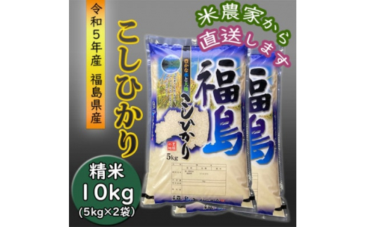 令和5年産＞コシヒカリ精米10kg 一等米5kg×2袋【1362651】｜ふるラボ