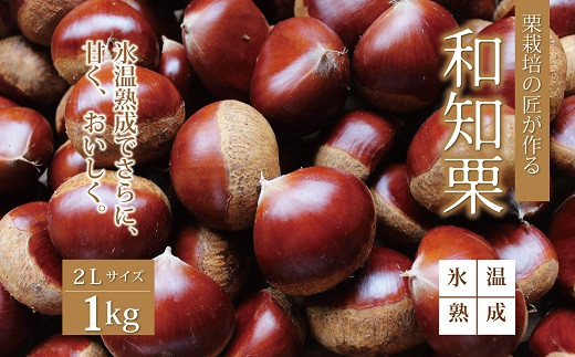 京丹波町和知地区で栽培されたものは「和知栗」と呼び、大粒で甘みが強く、ほくほくした食感が特長です。