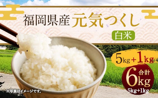 福岡県産「元気つくし」5kg+1kg増量 計6kg