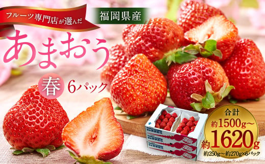 福岡産【春】 あまおう 6パック いちご 苺 果物 フルーツ 福岡 太宰府