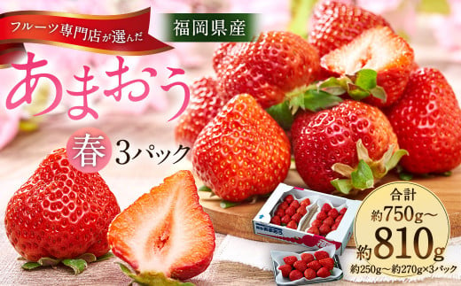 福岡産【春】あまおう3パック いちご フルーツ デザート
