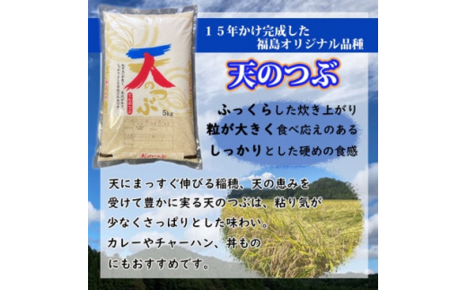 令和5年産＞天のつぶ精米10kg 一等米! 5kg×2袋【1150444】 / 福島県