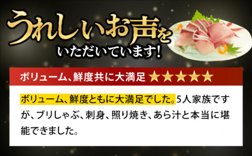 【数量限定】【1月～3月の土日にお届け！】【着日指定必須】 ブリ フィレ 一本まるごとセット（4.5kg程度1尾分） ぶり 鰤 ぶりしゃぶ 刺身 鮮魚  海鮮 魚 五島 五島列島 しゃぶしゃぶ 国産 新鮮 養殖 鍋 海鮮鍋 【徳丸】 [RAC002]