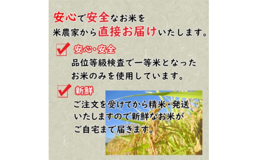 令和5年産＞天のつぶ精米10kg 一等米! 5kg×2袋【1150444】 / 福島県