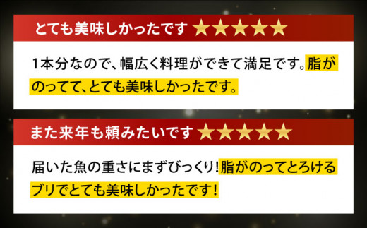 数量限定】【1月～3月の土日にお届け！】【着日指定必須】 ブリ フィレ