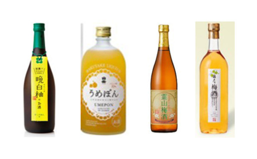 【年6回定期便】熊本の魅力を12本のお酒で味わう『贅沢なリキュールの宝石箱』
