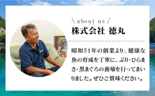 ブリ フィレ 一本まるごとセット（4.5kg程度1尾分）/ ぶり 鰤 刺身 鮮魚 海鮮 海産物  上五島