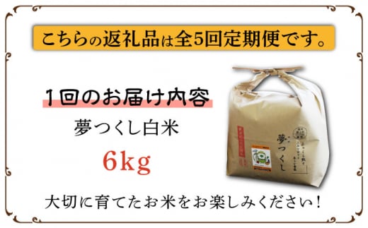 米 お米 こめ コメ ご飯 白米 夢つくし 6kg 国産 ギフト 贈り物 贈答 特別栽培米 県産米 減農薬 エコ 農産物