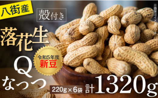 KL007 千葉半立 殻付らっかせい 220ｇ×5 創業80年落花生専門店「山津屋