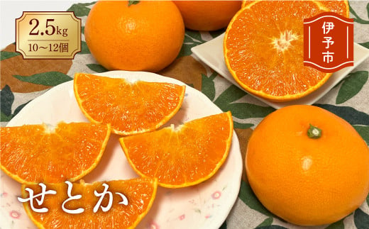 みかん 愛媛 せとか（2.5kg） 人気 数量限定 先行予約 柑橘 伊予市｜D06