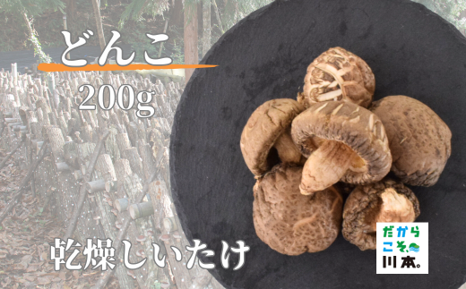 110043乾燥しいたけ（原木栽培）どんこ（4～5cm）　200g 774194 - 島根県川本町