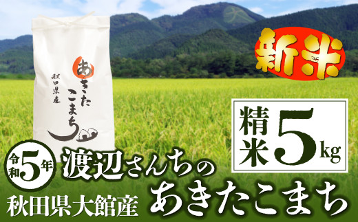 55P9006 【新米】【令和5年産】渡辺さん家のあきたこまち(精米)10kg