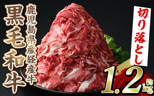 [選べる4種]黒毛和牛鹿児島県産(経産牛)切り落とし(計1.2kg・600g×2P) 国産 牛肉 肉 冷凍配送 小分け 個包装 セット しゃぶしゃぶ すき焼き バーベキュー BBQ 鍋 a-12-97-z