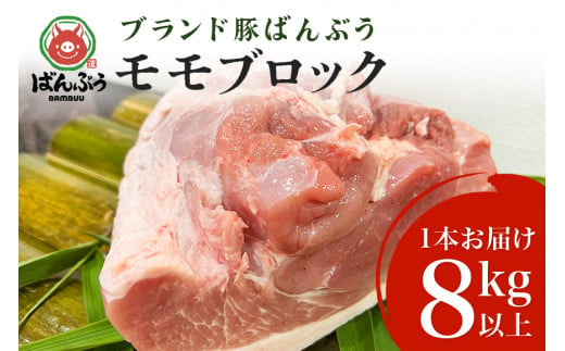 ブランド豚「ばんぶぅ」モモブロック1本（8kg以上）ばんぶぅ 豚肉 モモ もも肉 モモブロック ブロック肉 モモ肉 しゃぶしゃぶ 焼き肉 真空パック しゃぶしゃぶ肉 焼肉用 ぶた肉 ブタ肉 国産 茨城県産 ギフト プレゼント 冷蔵 高級部位 ブランド豚 42-H 491726 - 茨城県小美玉市