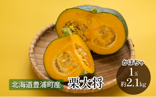 2023年 富良野産 くりゆたか かぼちゃ 10kg【1425899】 - 北海道富良野