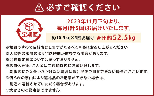 熊本産 紅はるか 約10.5kg