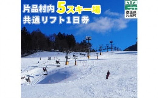 おもてなし宿泊券2冊&共通スキーリフト一日券（引換券）1枚（2024シーズン）セット|