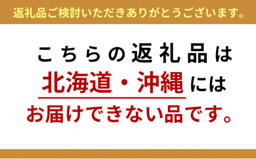 静岡県森町のふるさと納税 遠州森鈴木農園の治郎柿（10～14玉）