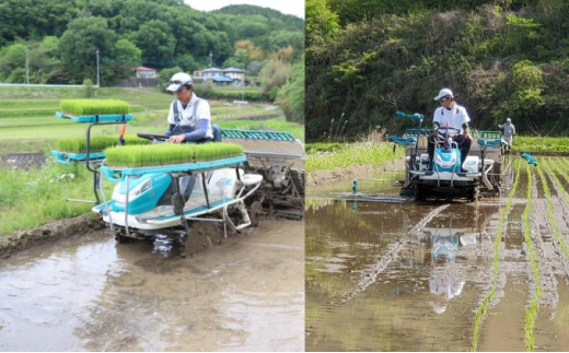 奥久慈 大子産米 令和５年産米 コシヒカリ （白米）10kg 茨城県 大子町 米 こしひかり [№5799-0698]