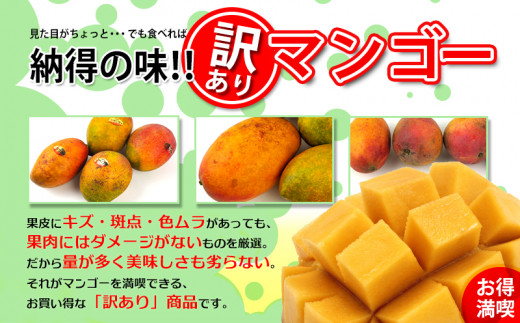 2024年発送 【ワケあり品】やんばるマンゴー 1.5Kg（3～6玉入） - 沖縄