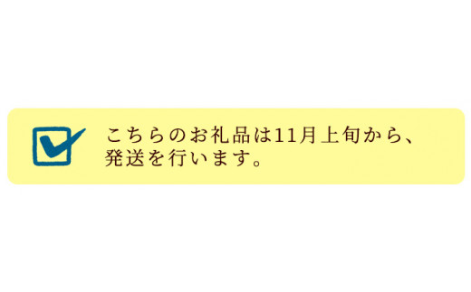 SB-016【令和5年お歳暮対応】数量限定！日本ミツバチ　百花蜜300g×2本