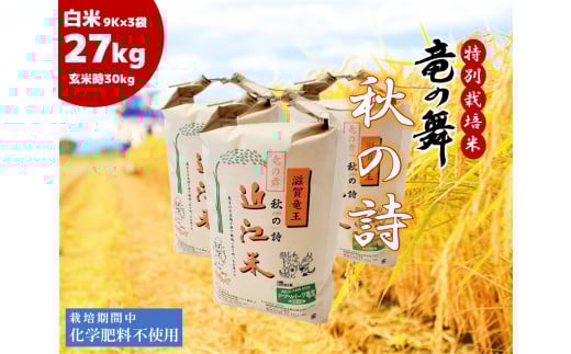  2023年産 竜の舞 秋の詩 白米 27kg ( 9kg × 3袋入 )  （ 玄米時 30kg ） お米 おこめ 米 化学肥料不使用 特別栽培米 国産 近江米 農家直送 産地直送 滋賀県 竜王町 送料無料  864916 - 滋賀県竜王町