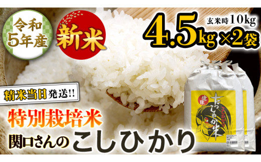 特別栽培米 》 令和5年産 精米日出荷 関口さんの「 こしひかり 」 4.5