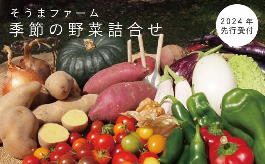 【2024年産予約受付】 相馬ファーム季節の野菜詰め合わせ 491267 - 北海道当麻町