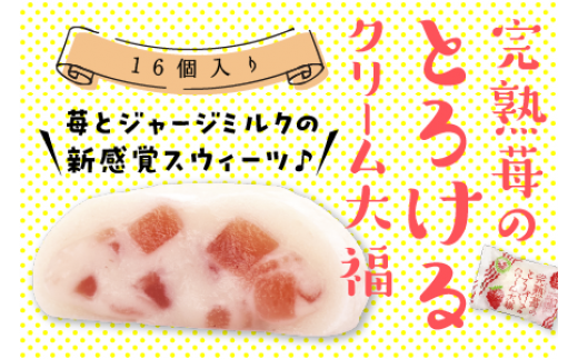 完熟苺のとろけるクリーム大福（16個入り） 789701 - 高知県中土佐町