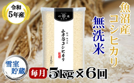 新潟県小千谷市の令和5年産 新米 魚沼産コシヒカリ｜ふるさとチョイス