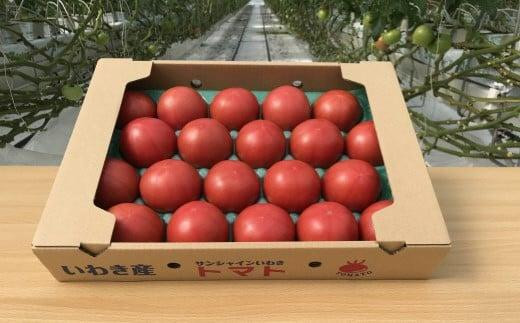 いわき市産大玉トマト「りんか」　4kg（18～28玉）　大容量 944277 - 福島県いわき市
