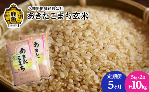 先行予約》【定期便】令和5年産 あきたこまち 玄米 10kg × 5ヶ月連続