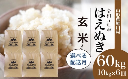 令和5年産＞ 鮭川村産 はえぬき 【玄米】 60kg定期便 （10kg×6回発送