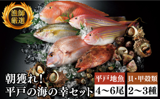 全6回定期便】朝獲れ！平戸地魚詰合せ定期便 平戸市 / 平戸瀬戸市場