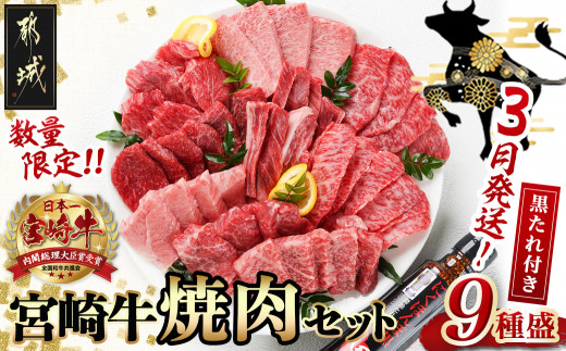 【数量限定☆2024年3月発送】宮崎牛9種盛り焼肉セット_22-3101-2403_(都城市) 宮崎牛 ラムシン マルシン イチボ サーロイン  ザブトン 肩ロース ショートリブ カルビ 内モモ ギフト 贈答用