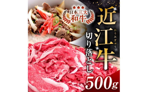 A-B16 [切り落とし]近江牛 こま肉 500g 安田牧場 近江牛 牛 牛肉 国産 和牛 近江牛 ブランド牛 近江牛 牛肉 近江牛 近江牛 贈り物 ギフト 近江牛 やきしゃぶ 近江牛 国産 近江牛 滋賀県 近江牛 東近江市近江牛 近江牛 霜降り 日本三大和牛 ふるさと納税 ブランド牛 赤身 肉じゃが ハヤシライス 炒め物 煮物 ギフト 贈り物 高級 人気 近江 東近江市 滋賀県