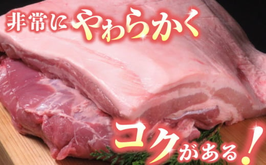 【家庭用】FA さくらポーク 豚バラ ブロック 約1kg【KRAZY MEAT(小田畜産)】 肉 豚肉 豚 ヒレ ブロック とんかつ ソテー 九州  国産 熊本県 [ZCP017]