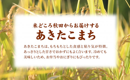 定期便】令和5年産 あきたこまち 玄米 10kg × 2ヶ月連続発送【八幡平