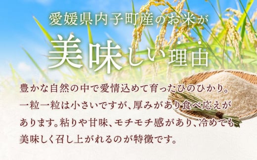 内子町産 米（ひのひかり）１０Ｋｇ（５kg×２入） - 愛媛県内子町