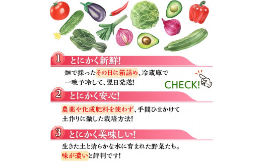 【定期便】＜アスカ有機農園＞（栽培期間中農薬・化学肥料不使用）旬の京野菜セットL（平飼い卵付）＊毎月お届け全１２回