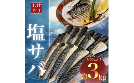 [訳あり]勝浦市の人気の海鮮お礼品 無添加 塩サバ 3kg