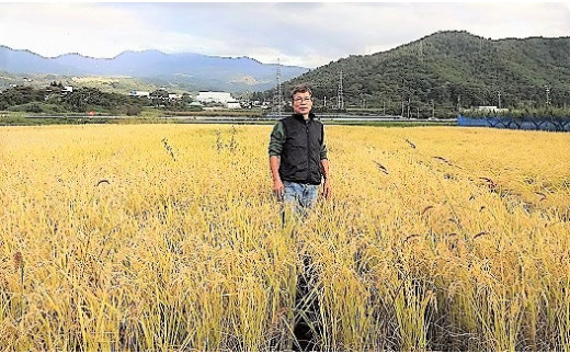 令和５年産　自然栽培１３年目のササニシキ　玄米、分づき米　５ｋｇ　0098-2302 315174 - 山形県上山市