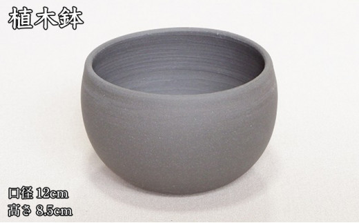 [№5830-0216]【植木鉢】blackpot ブラックポット（丸）M 739439 - 愛知県蟹江町