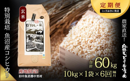 【通年受付】≪令和5年産≫【定期便／1ヶ月おき全6回】農家直送！魚沼産コシヒカリ特別栽培「白羽毛の米」玄米(10kg×1袋)×6回 60kg