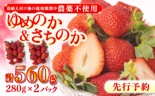 レンジで3分！ 長崎 ちゃんぽん 6個入〈常温保管可〉【つくも食品