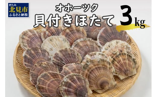 【予約：2024年3月下旬から順次発送】オホーツク貝付きほたて 3kg(15枚～25枚)( 海鮮 魚介 魚介類 貝 貝類 ホタテ ほたて 帆立 殻付き 貝柱 贈答 ギフト 贈り物 お中元 お祝い BBQ バーベキュー )【031-0003-2024】