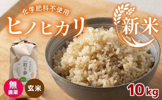 米/穀物【送料無料】山口県産米 無農薬 ひとめぼれ 20kg