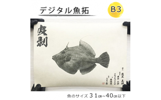 釣り」のふるさと納税 お礼の品一覧【ふるさとチョイス】